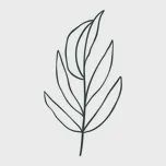 The Other Side of Bali