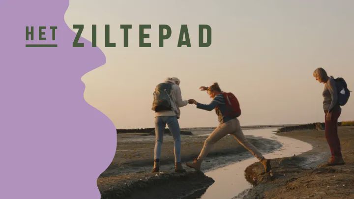 Het Ziltepad