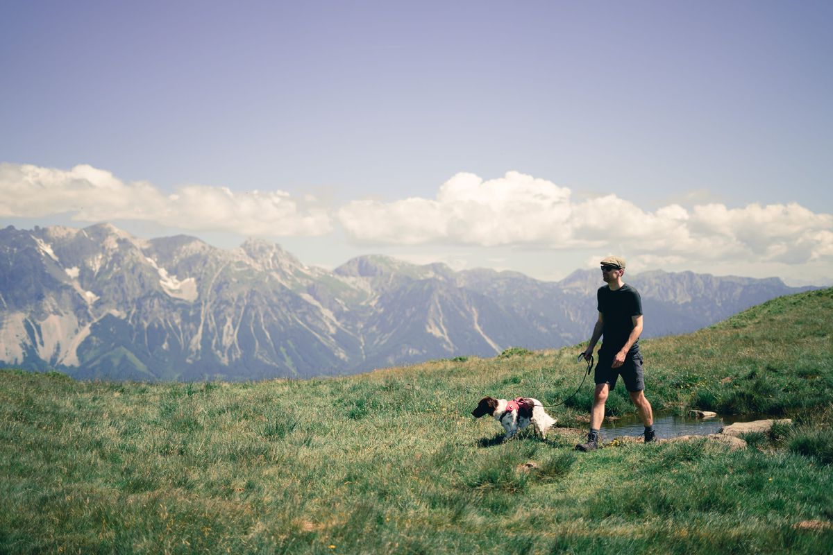Routes & Podwalks